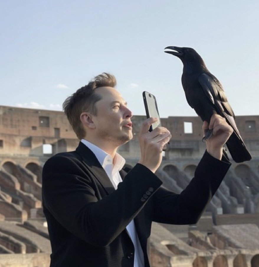 Elon, a Crow & the Colosseum 🐦‍⬛🏛️
